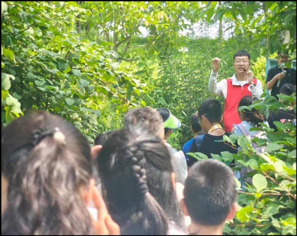 研究方向为中药智能制造关键技术及装备
