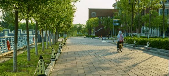 激发师生参与校园文化建设的积极性