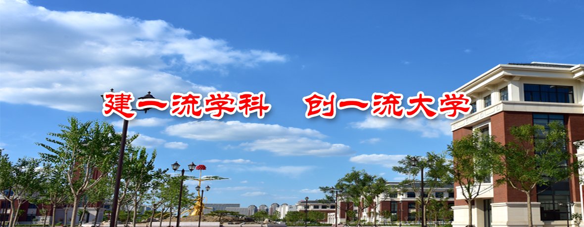 公布世界一流大学和一流学科（简称“双