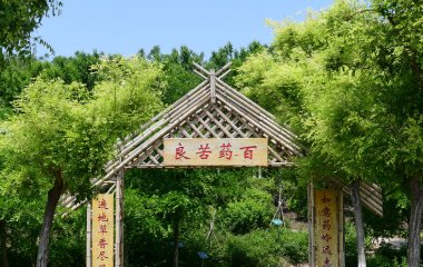 银河赛事推荐手机版下载主页
